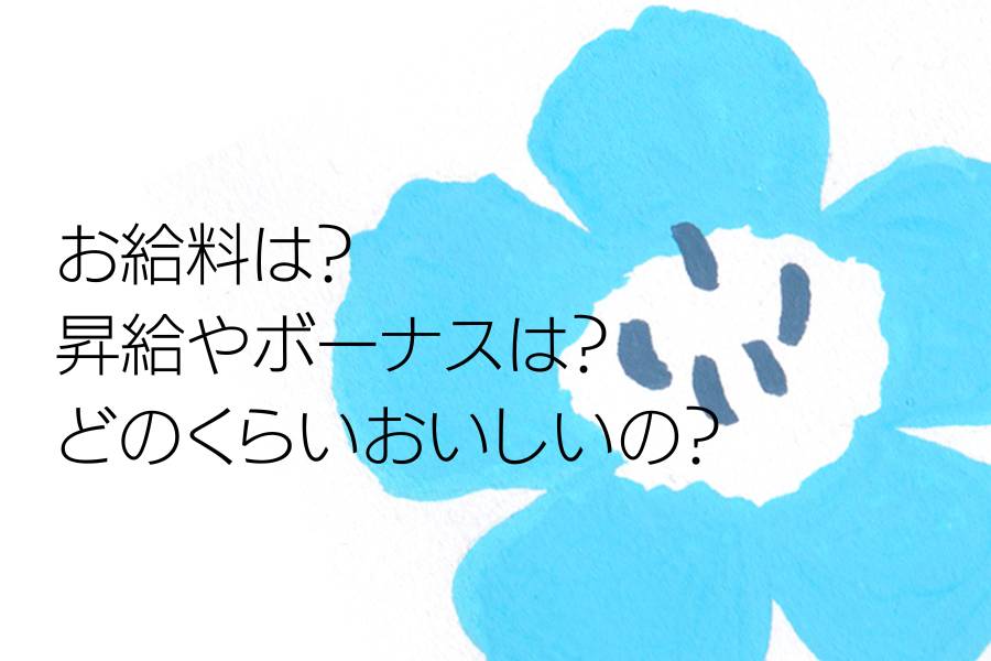 お給料は？昇給やボーナスは？どのくらいおいしいの？